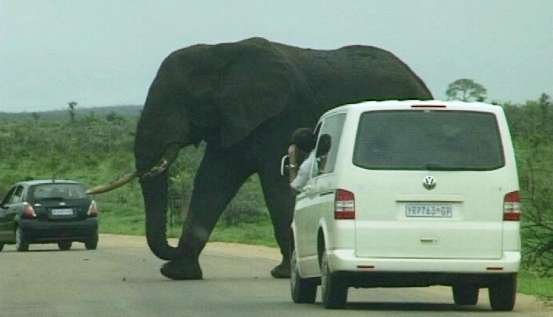 kruger national park